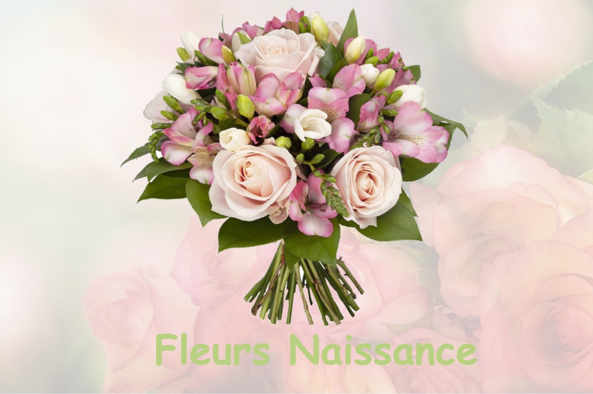 fleurs naissance LUSSAC-LES-CHATEAUX