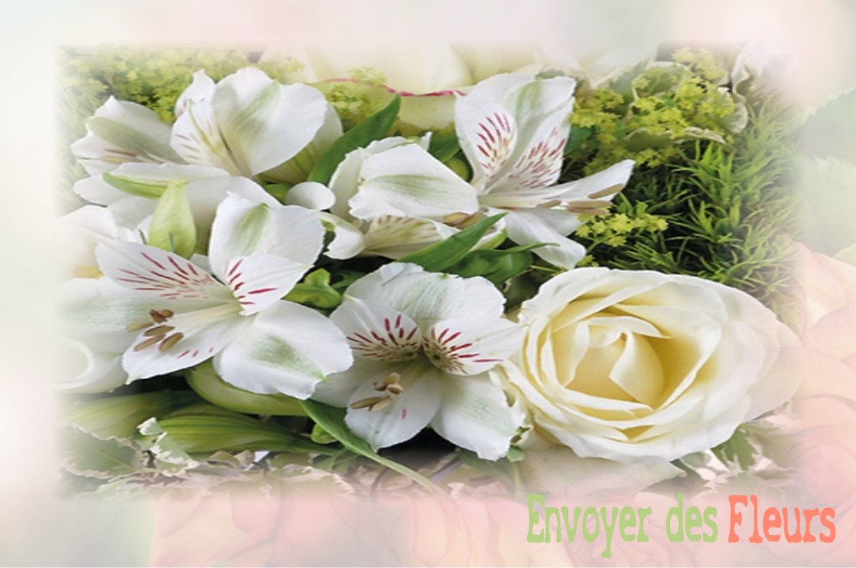 envoyer des fleurs à à LUSSAC-LES-CHATEAUX